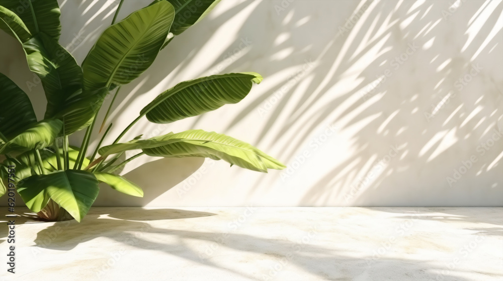Green plant with shadow of palm leaf on white cement wall background.