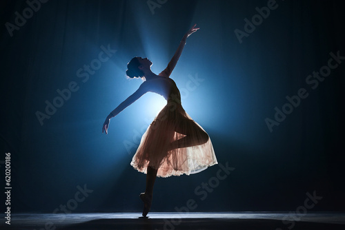 Stampa su tela Attractive, artistic, talented young girl, ballerina dancing classical dance, pe