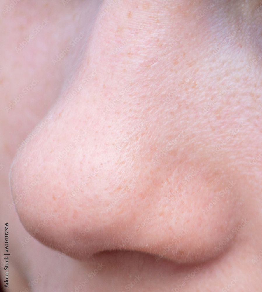 Close-up of a girl's nose. Macro Close-up of a girl's nose. Macro