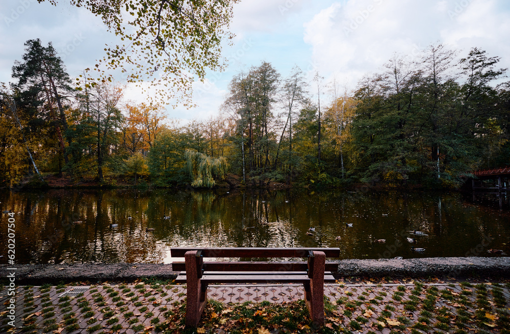 Beautifil landscape with bench near the lake at the park Beautifil landscape with bench near the lake at the park