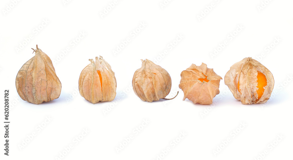 Cape gooseberry on white background. it is one of the best berries. It is a plant in the same family as eggplant. Rich in nutrients and high in vitamins. Soft and selective focus. Cape gooseberry on white background. it is one of the best berries. It is a plant in the same family as eggplant. Rich in nutrients and high in vitamins. Soft and selective focus.