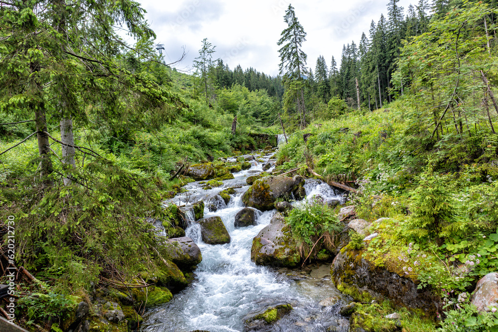 View with a flowing mountain river between grass and rocks in the Tatras View with a flowing mountain river between grass and rocks in the Tatras