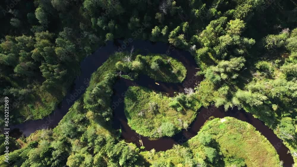 River meander looks like yin yang in the summer forest, Top down aerial