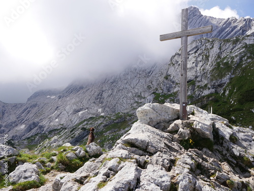 Dog on mountain top with clouds in the morning