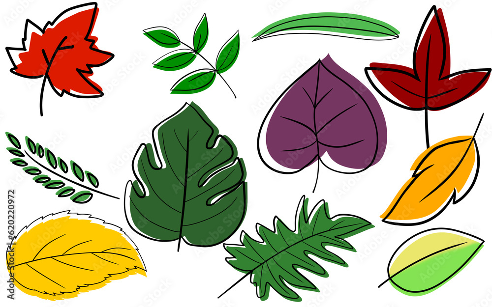 Fototapeta premium collection of leaves