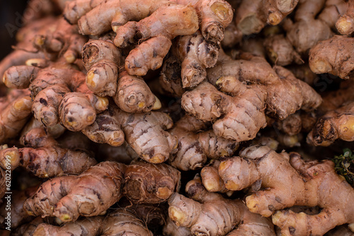 Bunch of wooden ginger roots lying tightly in Goa market in India. Organic and breezy harvest selling in trading.