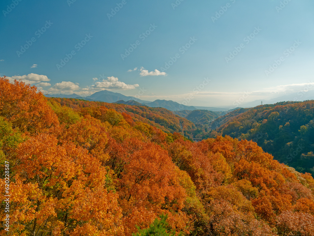 清里・八ヶ岳高原大橋から南を見た紅葉の峡谷