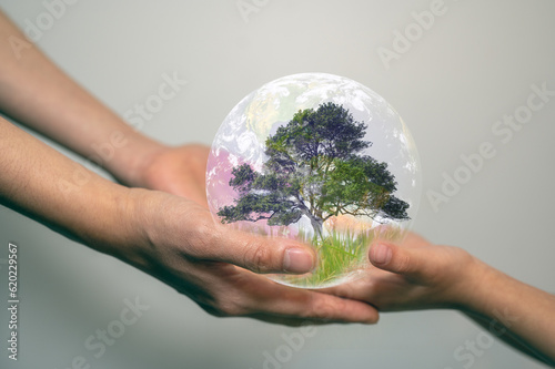 Fototapeta Naklejka Na Ścianę i Meble -  earth day concept senior hands giving small planet earth with tree to a child over defocused green background with copy space, elements of the image furnished by nasa