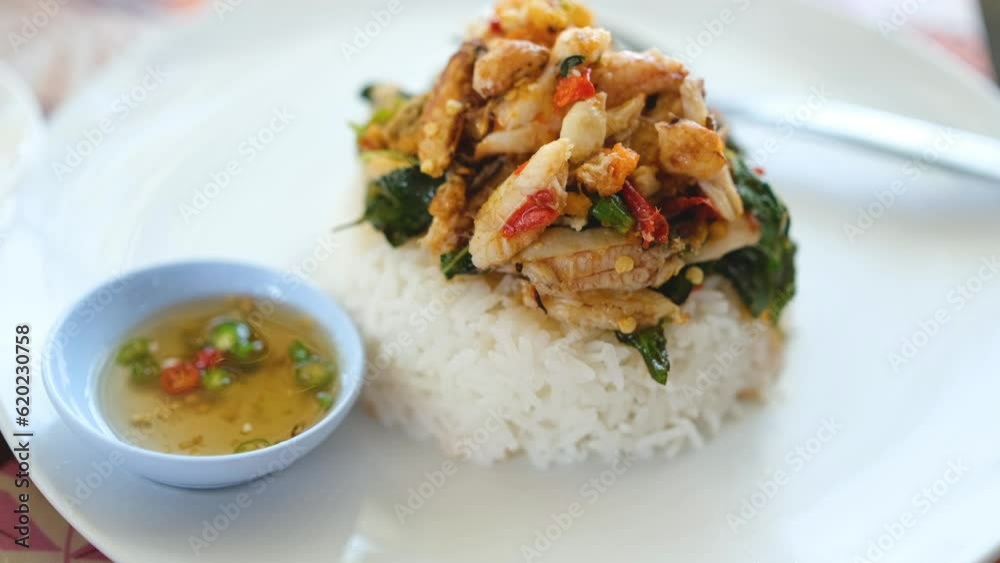 Spicy Basil Stir Fried Rice with Crab, Shrimp, Mantis Lobster and Squid on a White Plate Spicy Basil Stir Fried Rice with Crab, Shrimp, Mantis Lobster and Squid on a White Plate