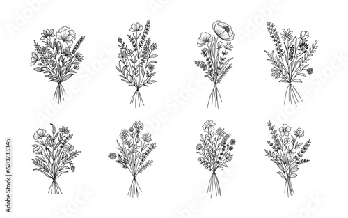 Set of flower bouquet vector. Hand drawn flower. Wildflower line art bouquets set, wild plant, botanical vector illustration photo