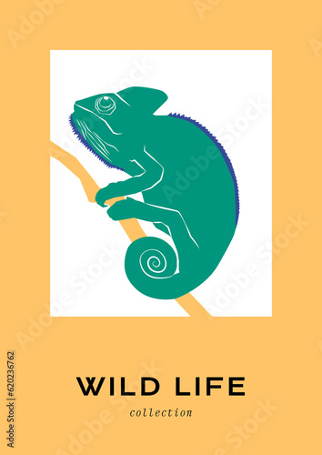 Modern Art Boho style posters
