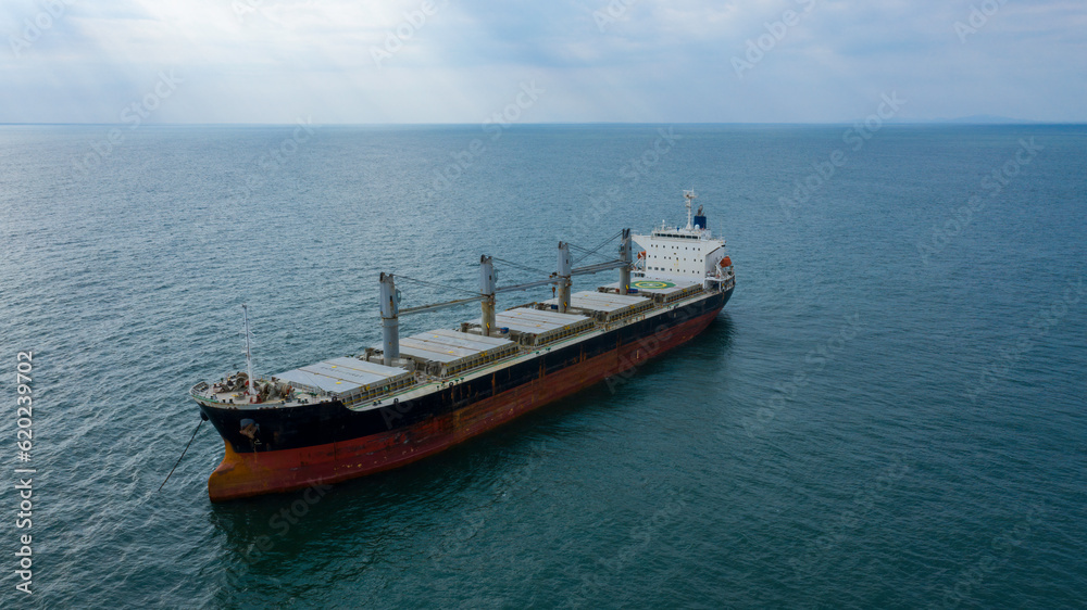 Self-unloading bulk carrier at Rio De La Plata anchorage. Aerial front view.