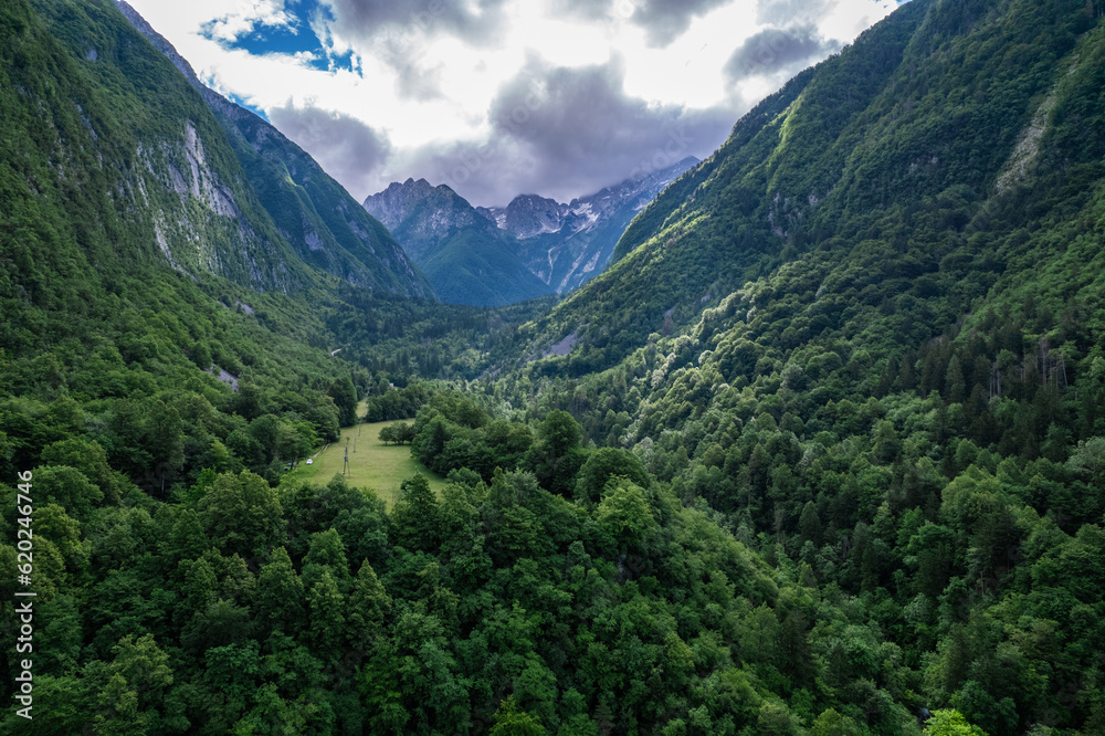 Alpine landscape with green forest in Soca valley, Slovenia. Aerial drone view