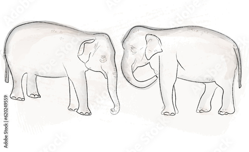 Two elephants vector watercolor poster