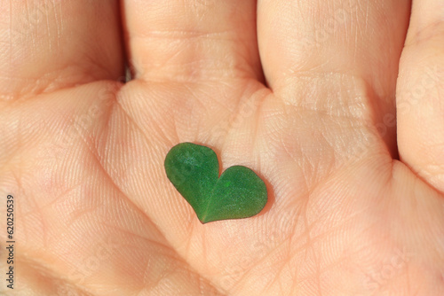 Heart Leaf in Palm