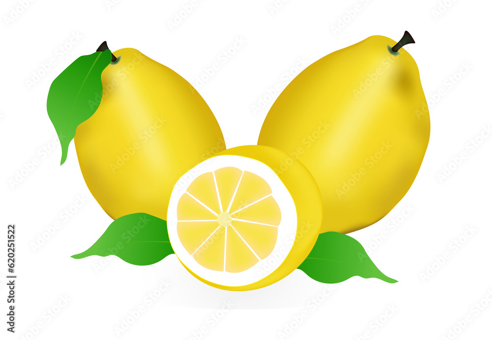 Realistic lemon, whole and sliced ​​with green leaf, sour fresh fruit, bright yellow peel, set of vector illustrations of lemons isolated on white background