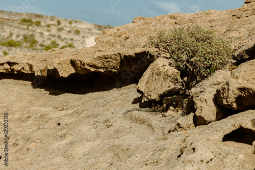 stone desert in the desert