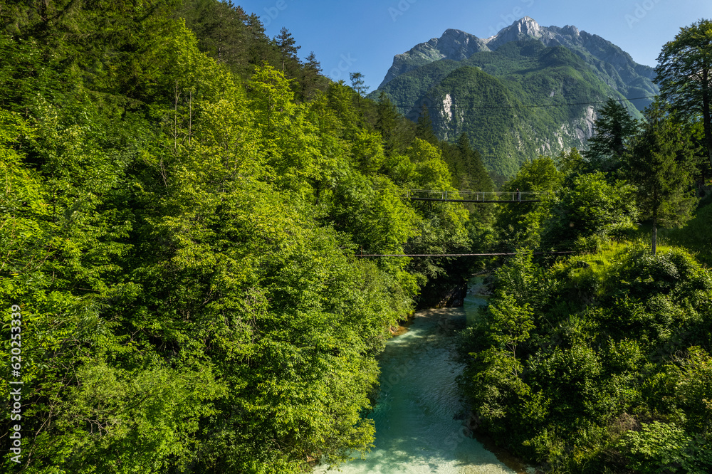 Suspension bridge over alpine river in green forest, Slovenia. Aerial drone view