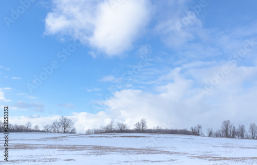 Country winter landscape