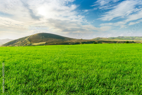 green landscape of spring field with green young grass and amazing hills on background