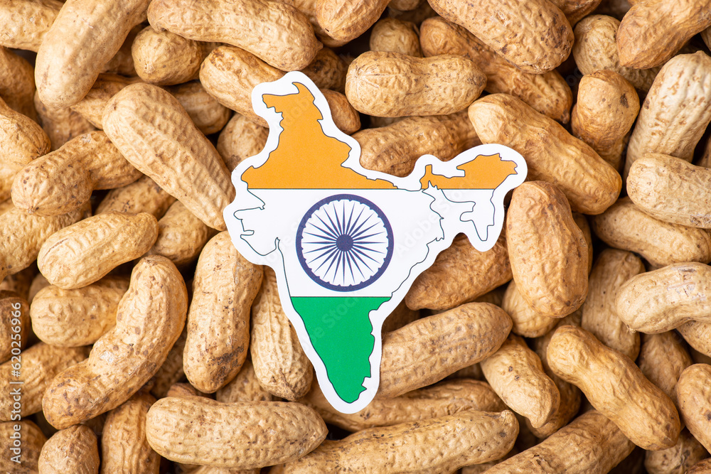 Flag and map of India on peanut. Growing peanut in India, origin of