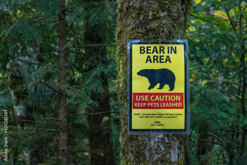 Squamish, BC, Canada-October 10, 2019: Sign warning that there is a bear in the area affixed to a tree in the forest near the town of Squamish. photo