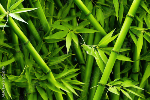 Serene Green Bamboo Background