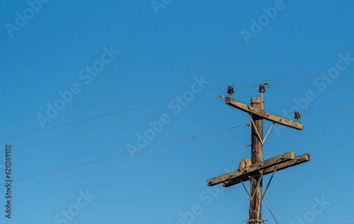 Rural electrification pole with clay joão bird house
