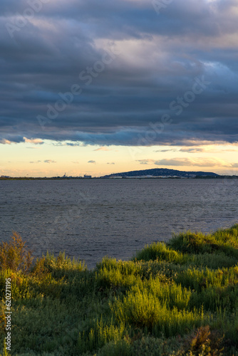 Port de Frontignan et Mont Saint-Clair    l horizon depuis le Bois des Aresquiers au coucher du soleil