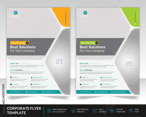 Business multi color flyer template design