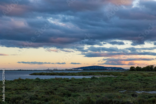 Port de Frontignan et Mont Saint-Clair à l'horizon depuis le Bois des Aresquiers au coucher du soleil