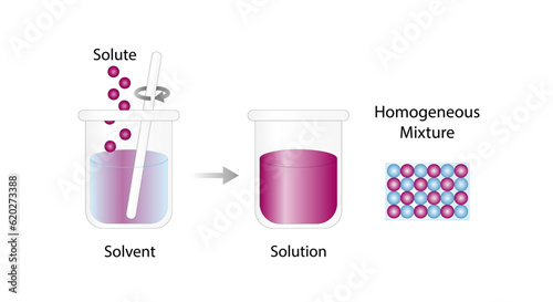 Solution, Homogeneous mixture, uniform composition, solute and solvent. Chemistry experiment. Scientific design. Vector illustration.