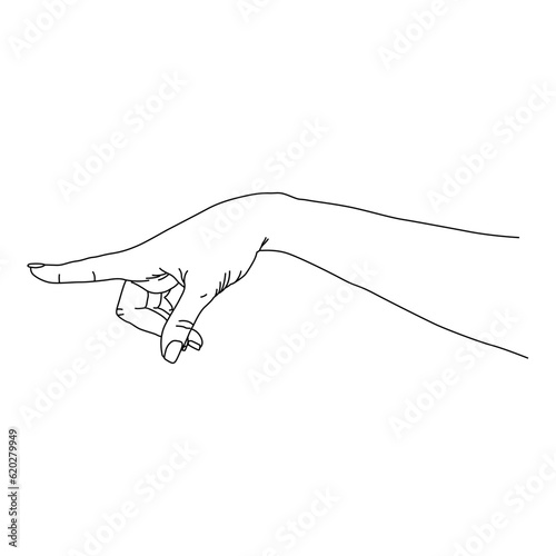 Hand Drawing Line Art 58 (ID: 620279949)