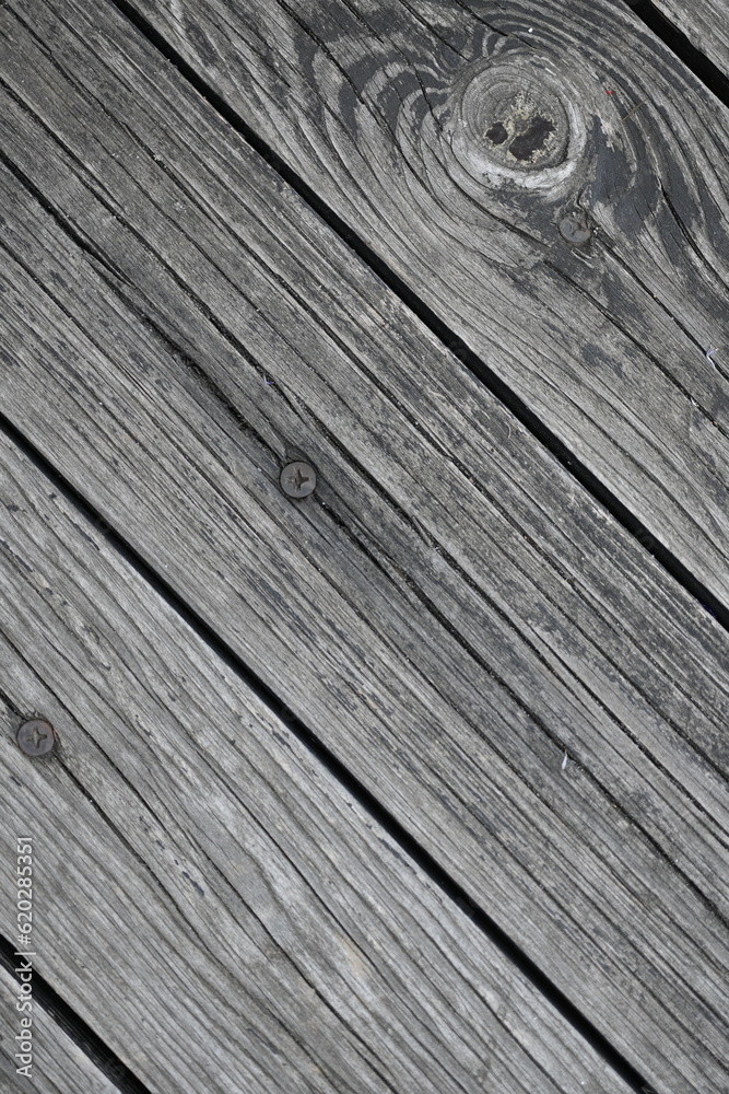 Obraz premium Grey vintage old wood texture as background, old grey vintage texture of wooden boards 