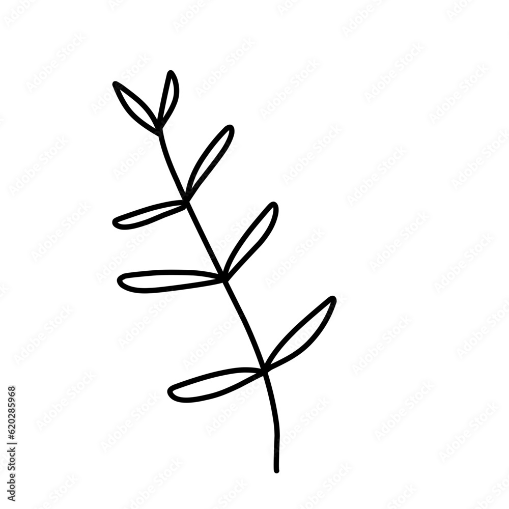 Botanical leaf outline