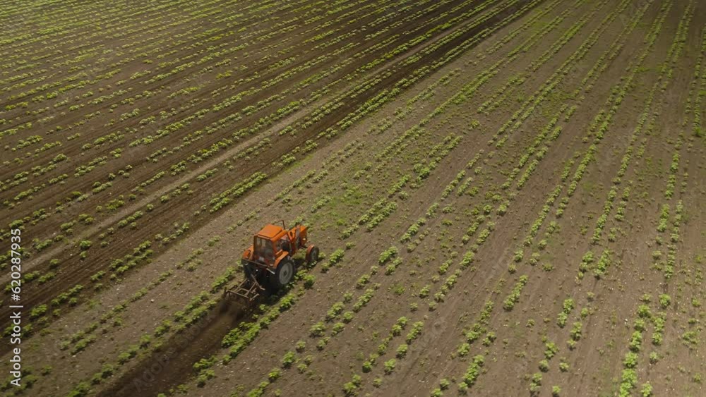 Aerial Drone of Tractor Harvesting. Tractor cultivating soul. Agriculture and healthy food concept. Sunset aerial landscape. Aerial Drone of Tractor Harvesting. Tractor cultivating soul. Agriculture and healthy food concept. Sunset aerial landscape.