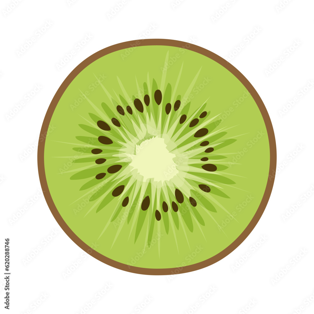 Green kiwi with seeds in a cut in cartoon style. The kiwi fruit element is isolated on a white background.