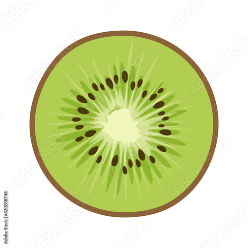 Green kiwi with seeds in a cut in cartoon style. The kiwi fruit element is isolated on a white background.