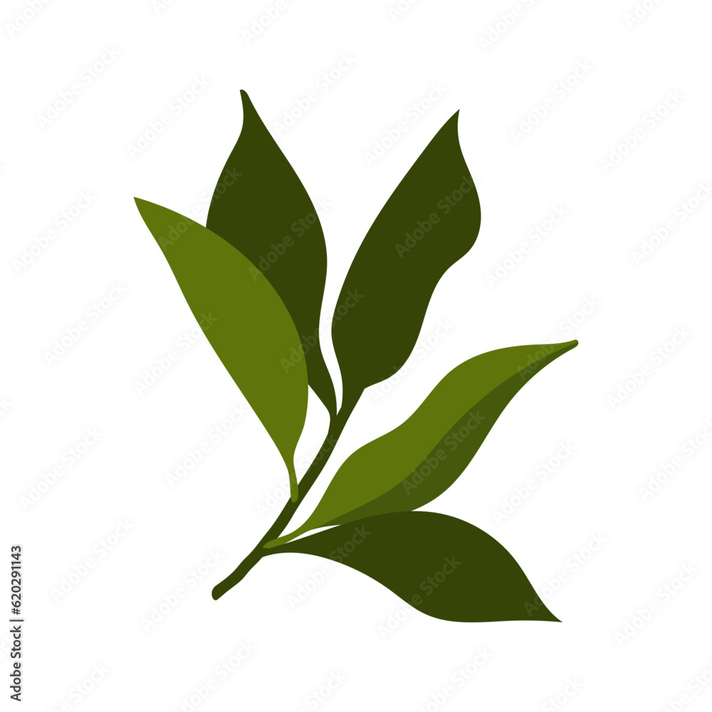 Naklejka premium hand drawn flat leaves. twig with leaves