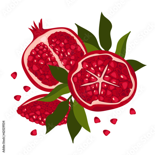Juicy pieces of pomegranate with seeds and leaves. poster with stylized grenades. colorful ripe pomegranates