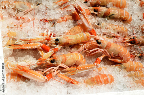 Fresh prawns in box with ice