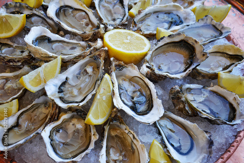 Tray of open oysters with lemon wedges photo