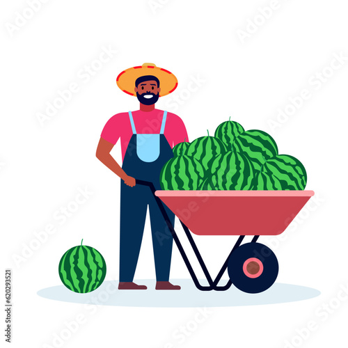 Mexican farmer with a wheelbarrow full of watermelon flat style vector illustration, Mexican farmer with fruit crop , harvest stock vector image