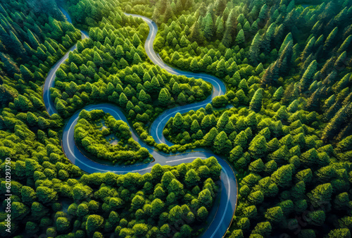 aerial view of an idyllic road in the green mountain with trees and lake