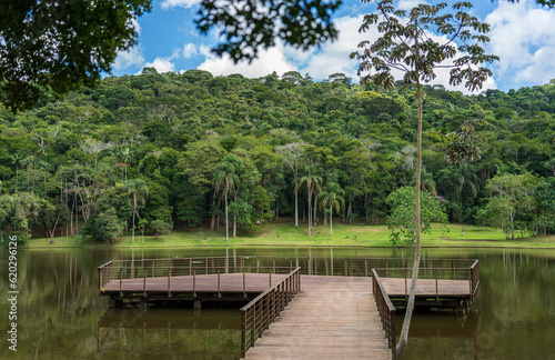 Wooden jetty in a peaceful tropical lake surrounded by lush green forest