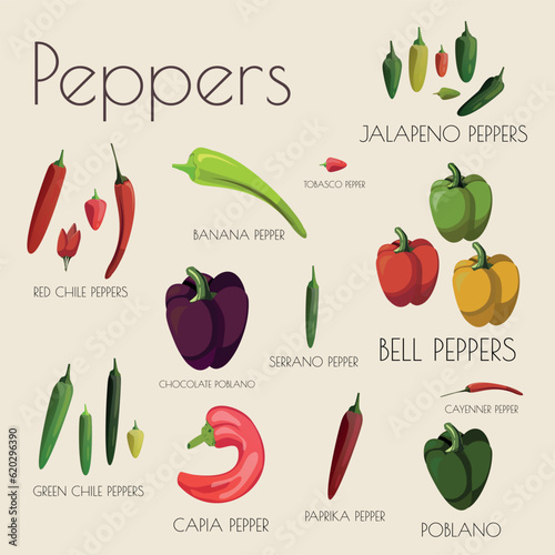 Set of Vector Illustrations of Peppers