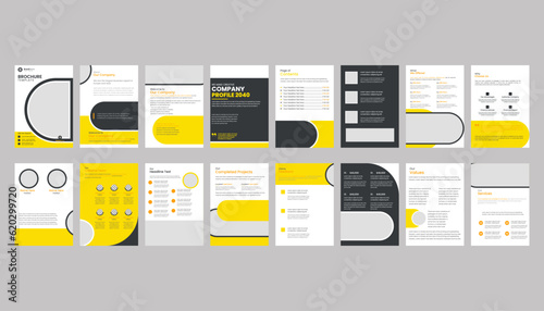 flyer set, company profile set, cover, brochures, annual repor, presentations, leaflet, magazine,book, a4t, Professional company profile brochure multipage design