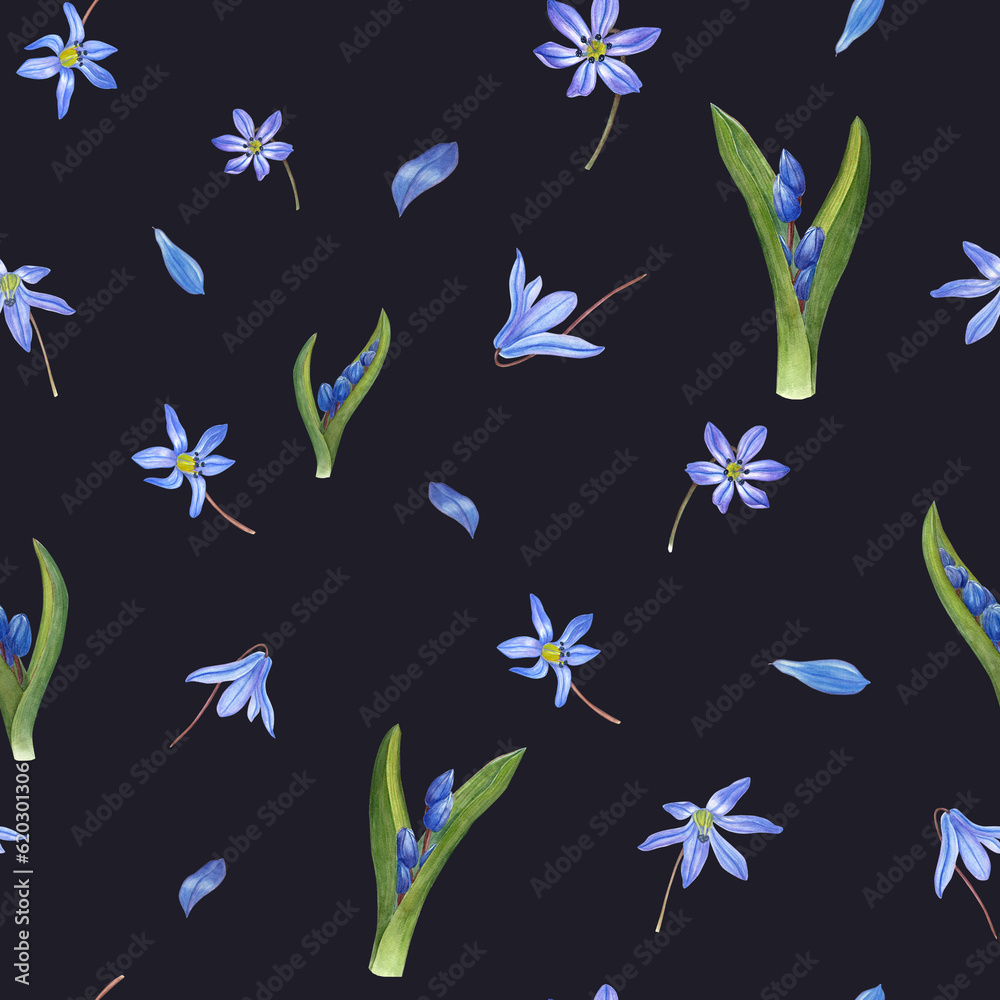 Seamless print of watercolor blue snowdrops. Floral pattern isolated on dark background. Illustration with delicate blue flowers for the design of wrapping, textile, room decor