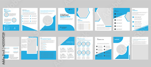  flyer set, company profile, page, brochure, cover, page layout design, annual, report, book, presentation, book, magazine, business presentation template design