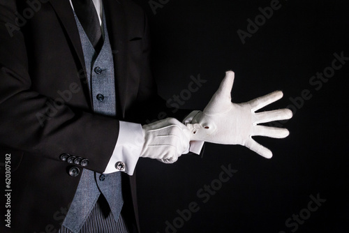Portrait of Butler or Concierge in Dark Suit Pulling on White Gloves Ready to Work. Concept of Service Industry and Professional Hospitality.